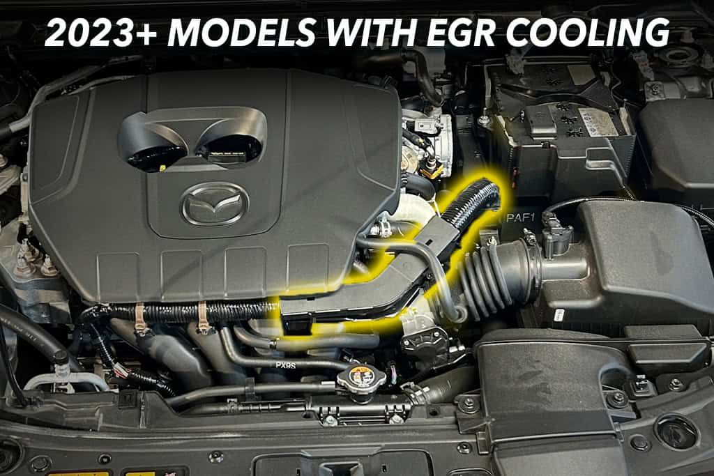 Models with EGR cooling