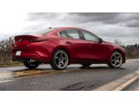 Model specific & adjustable exhaust tips ensure a fantastic & personalizable look.