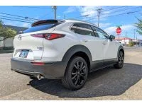 Polish dual wall tips add the perfect style to the classy CX30