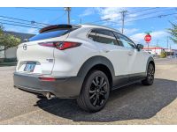 Polish dual wall tips add the perfect style to the classy CX30