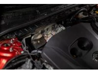 Option to choose catless or a high flow cat to suit your build & preferences.