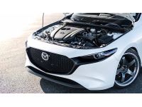 Your choice of silicone, filter, and clamp color to personalize your engine bay.