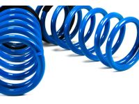 A ~1.1” drop in the front and ~1.2” drop in the rear gives your Speed a great new look.