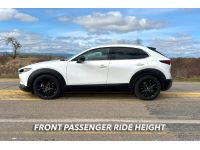 Front Passenger ride height