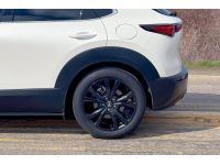 Performance lowering springs