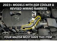 Mazda 3 EGR Cooling Harness