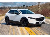 Sportier lowering springs for the CX-30