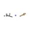 CorkSport Fuel Pump Internals & OEM Fuel Pressure Relief Valve